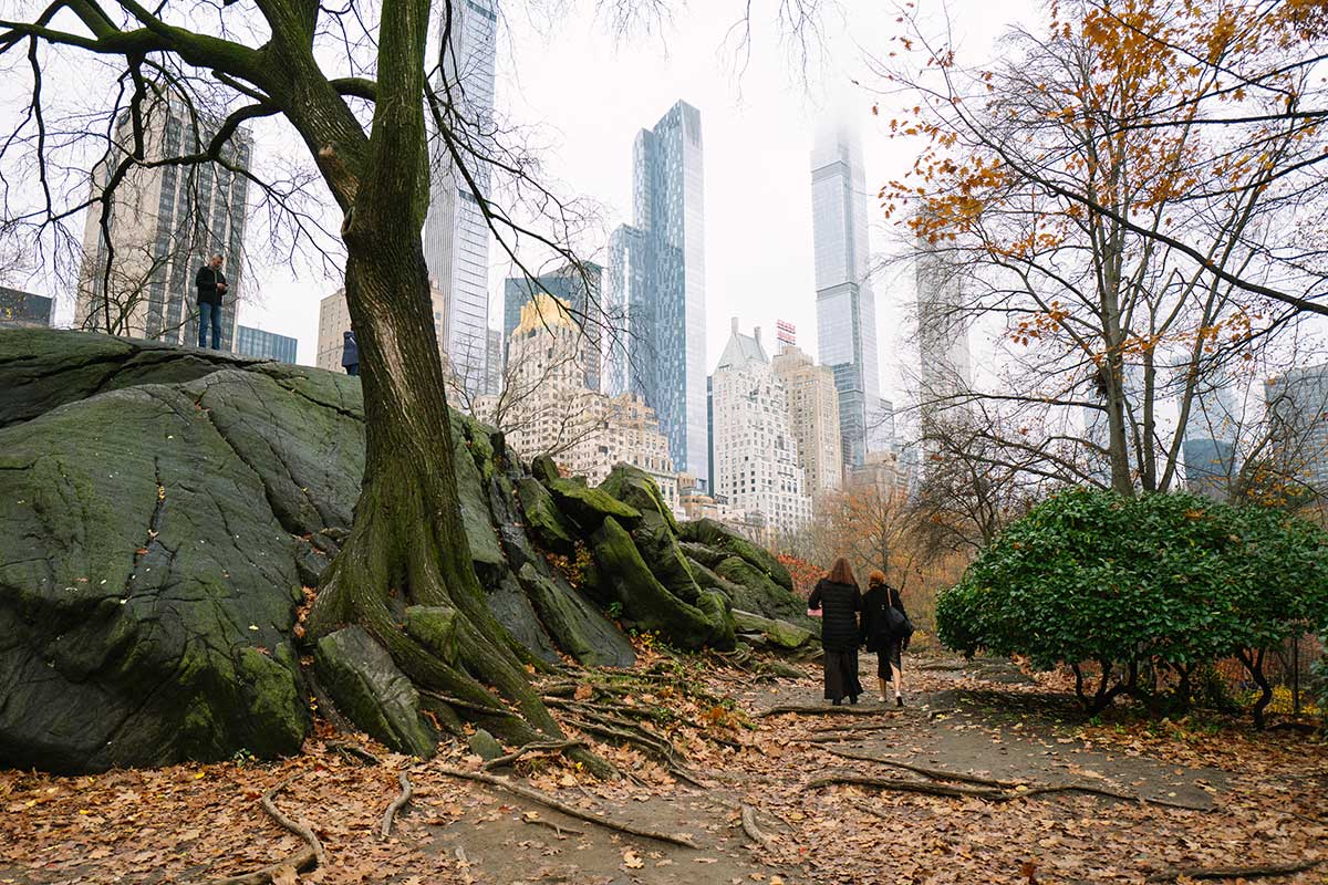 Christmas in New York 2025: Central Park. Photo: 123nyc.org / Raman Shaunia